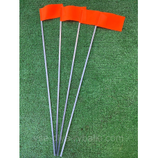 Прапорець зимовий