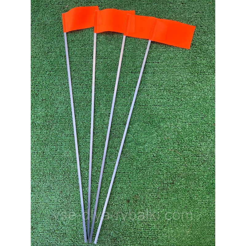 Прапорець зимовий