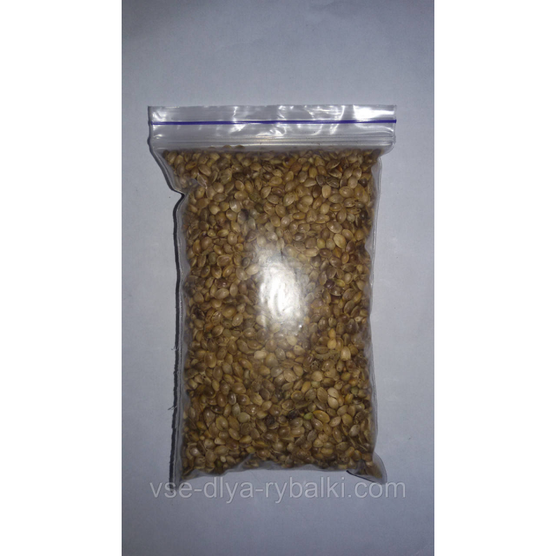 Насіння конопель рибальські