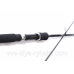 Спінінг Siweida BlackCat Carbon 2,4m 10-30g